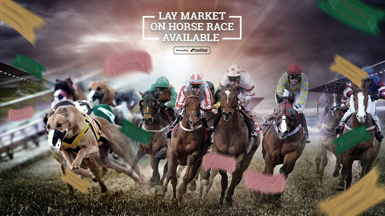 Horse racing betting arbitrage