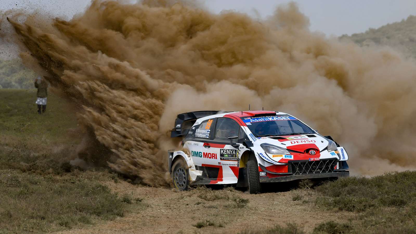 Vitória certa WRC iniciantes